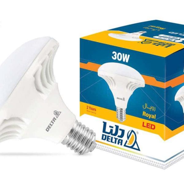 لامپ ال ای دی دلتا | رویال | 30 وات E27